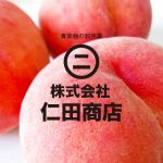 野菜・果物の仕分け作業　　【広島市西区草津港】