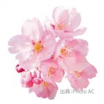 登録ヘルパー及び事務員　　【江田島市】